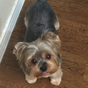 Meet your Posher, Irene