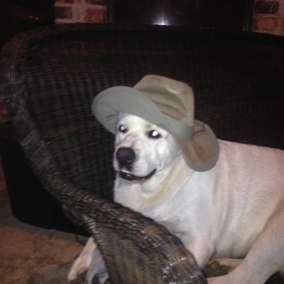 Meet your Posher, Susan