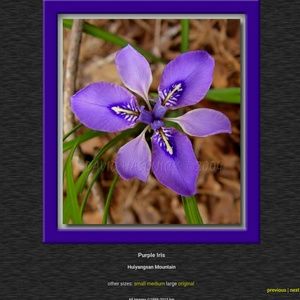 Meet your Posher, Alexa