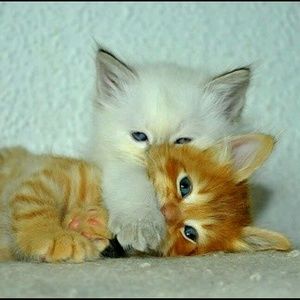 Meet your Posher, Mariah