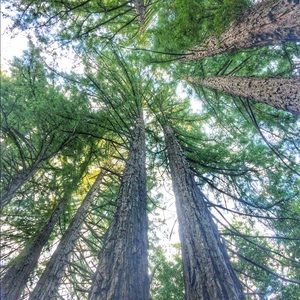 Meet your Posher, Claire