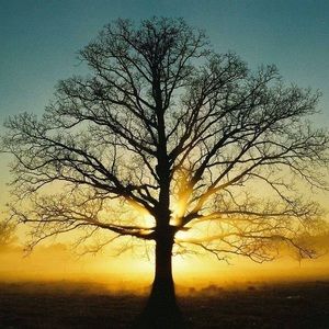 Meet your Posher, Addison