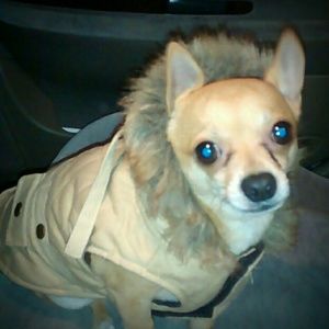 Meet your Posher, Cathy