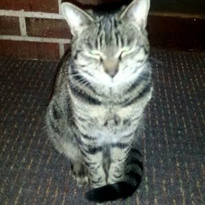 Meet your Posher, Kylie