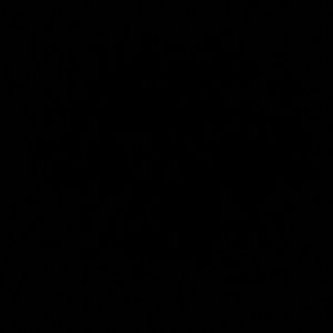 Meet your Posher, Marlene