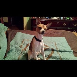 Meet your Posher, Brandy