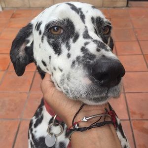 Meet your Posher, Vandana