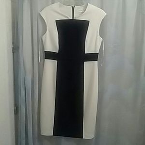 calvin klein dress