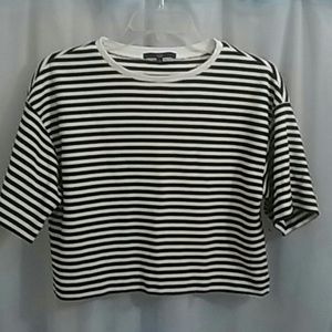 Tibi offwhitish kind of stripe crop top