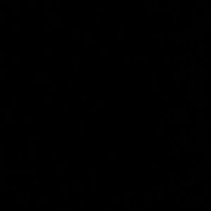 Meet your Posher, Lorie