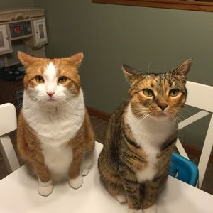 Meet your Posher, Eileen