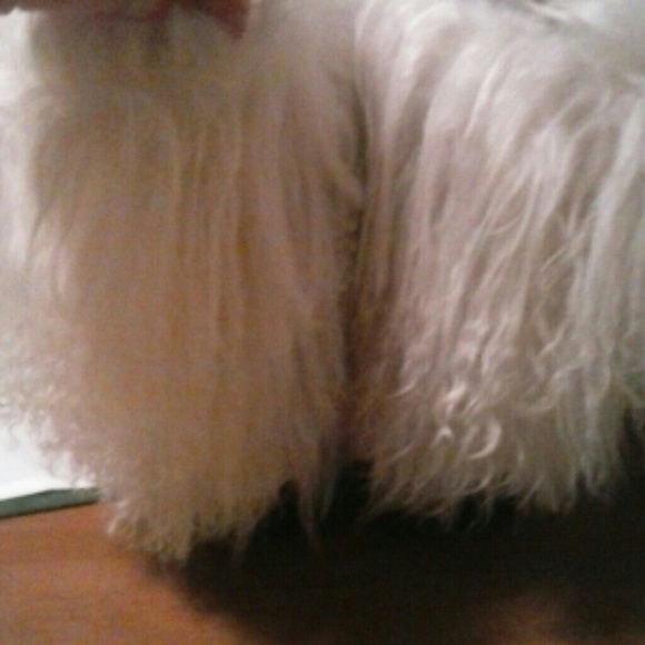 Bear paw🐻🐻 - Picture 3 of 3