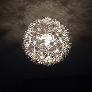 Meet your Posher, Molly