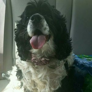 Meet your Posher, Jackie