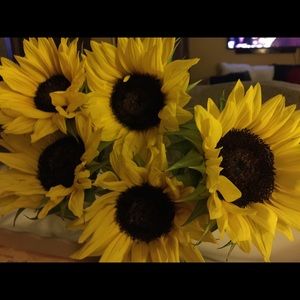 Meet your Posher, Gina