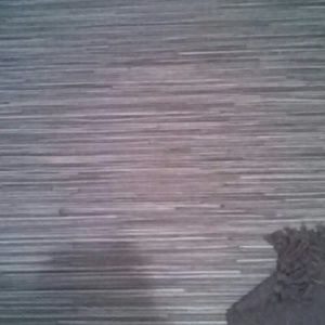 Meet your Posher, Pablo