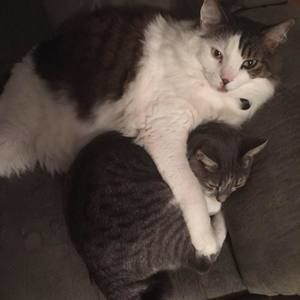 Meet your Posher, Lori