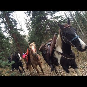 Meet your Posher, Heather