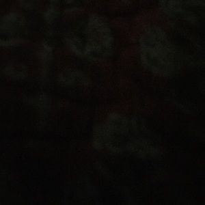 Meet your Posher, Carolyn