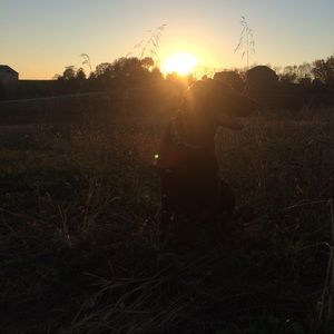 Meet your Posher, Riley