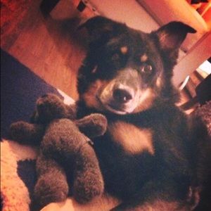 Meet your Posher, Amy