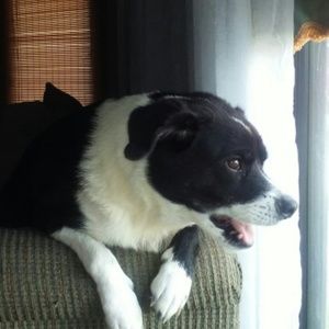 Meet your Posher, Gail