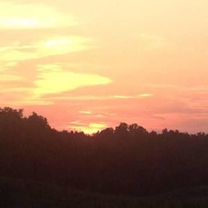 Meet your Posher, Lynn