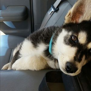 Meet your Posher, Crystal