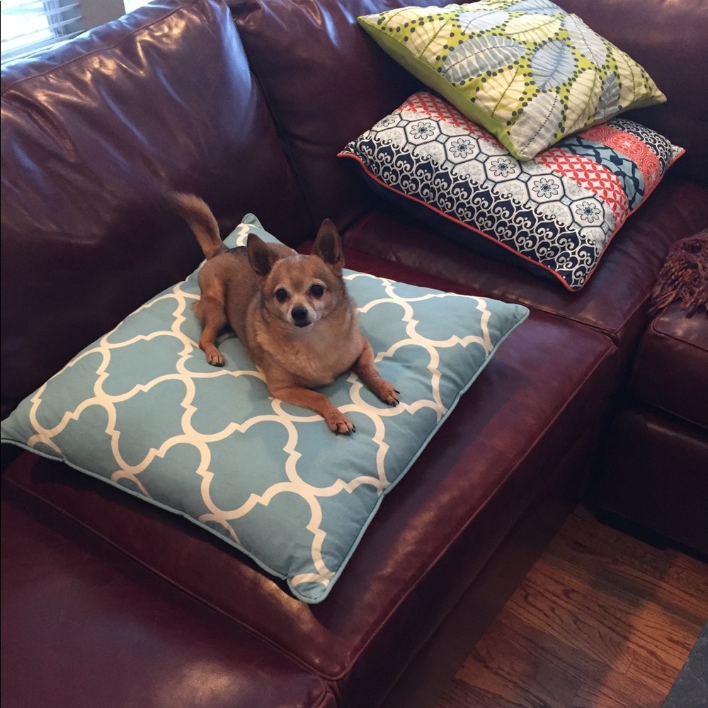 Meet your Posher, Karen