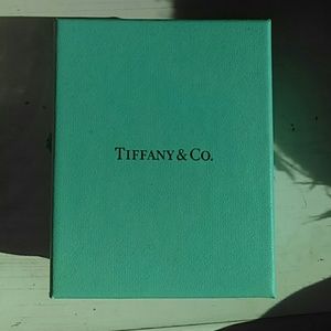 Tiffany Infinity Bracelet in Sterling Silver