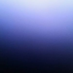 Meet your Posher, Tamala