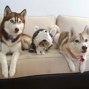 Meet your Posher, Xinwei