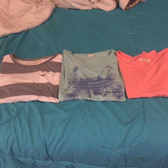 Hollister bundle