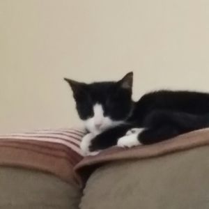 Meet your Posher, Denise