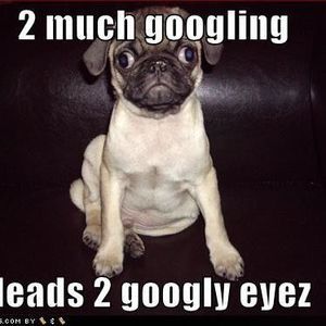 Meet your Posher, Cassandra