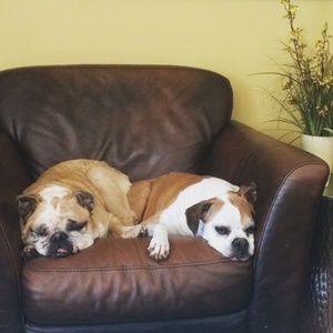 Meet your Posher, Holly