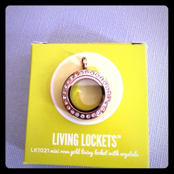 Origami Owl mini rose gold locket