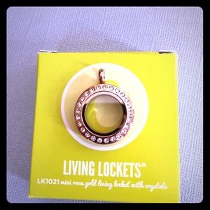 Origami Owl mini rose gold locket