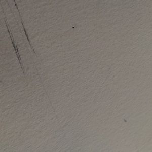 Meet your Posher, Janette