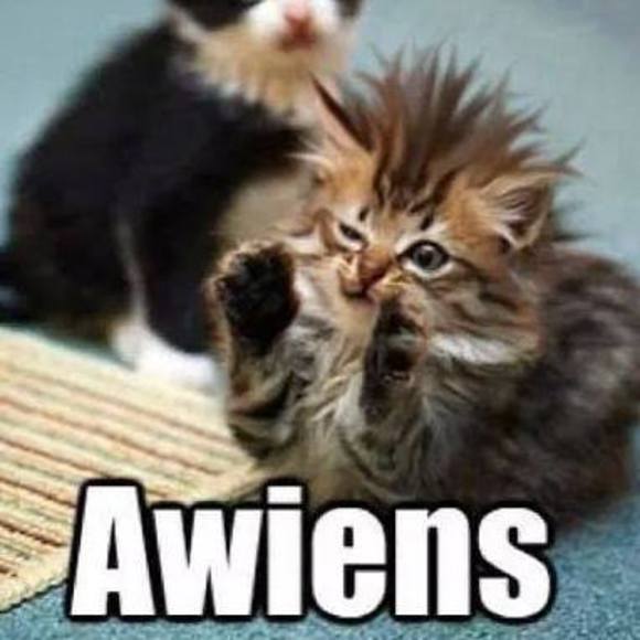 Meet your Posher, Maggie