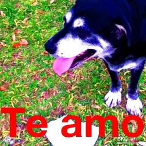 Meet your Posher, Cristina