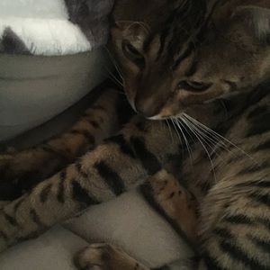 Meet your Posher, Alicia