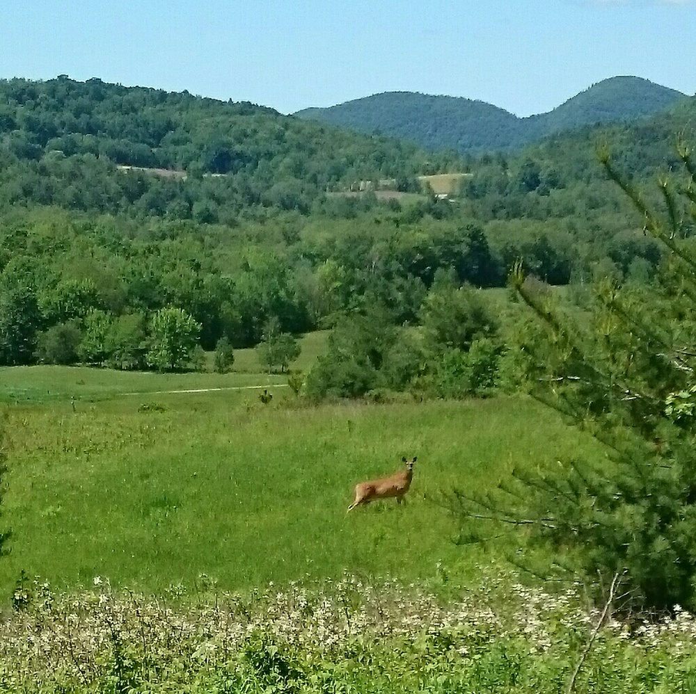 Meet your Posher, Natalya