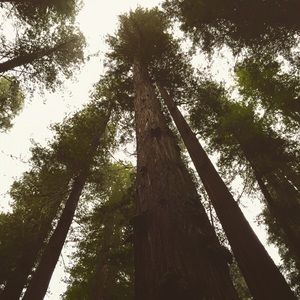 Meet your Posher, Katelyn