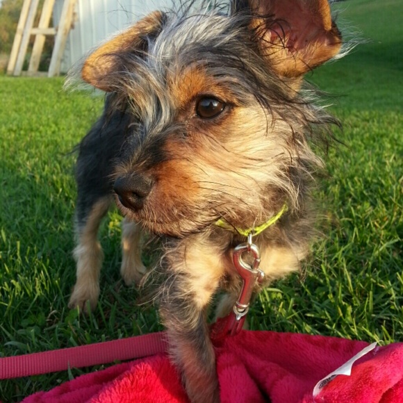 Meet your Posher, Lesia - Picture 1 of 1