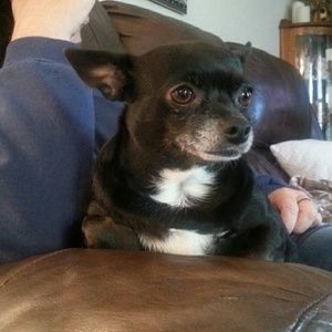 Meet your Posher, Candie