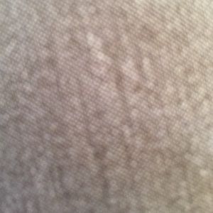 Meet your Posher, Janelle