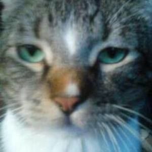 Meet your Posher, Rosanne