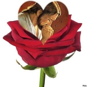 Meet your Posher, Carletta