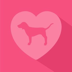 Meet your Posher, Ella